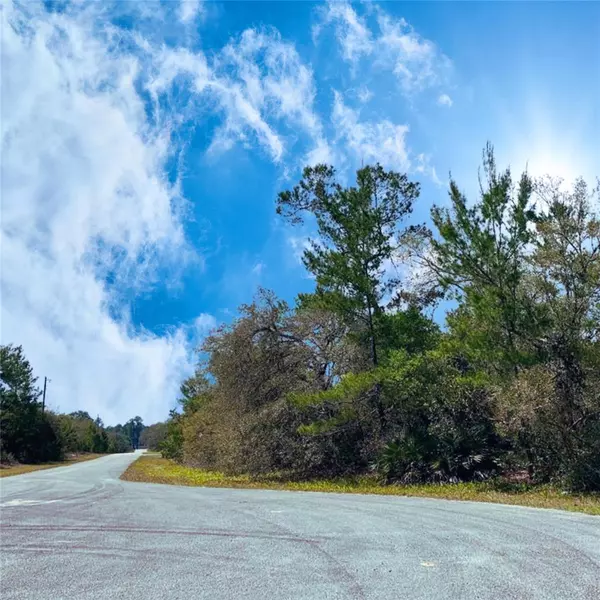 Lot 8 LOCUST ST, Eustis, FL 32736