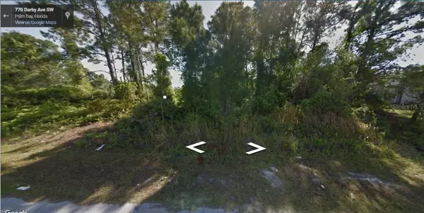 Palm Bay, FL 32908,743 DARBY AVE SW