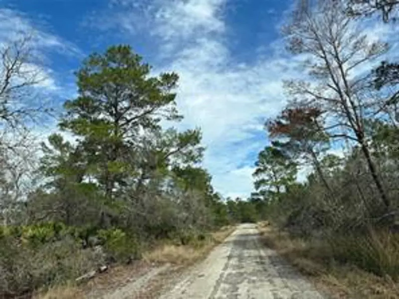 4508 BRIARCLIFF AVE, Sebring, FL 33875
