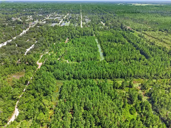 Deland, FL 32724,PARCEL 230, E HOLLY HOCK RD