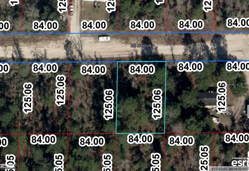 Williston, FL 32696,NE 66TH LN