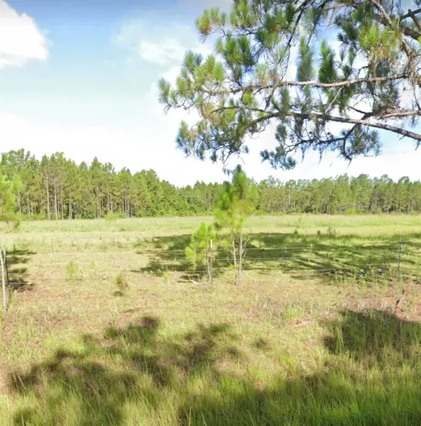 12367 SWEET HILL RD, Polk City, FL 33868