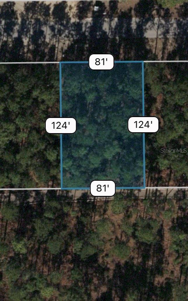 SW 81ST CIR, Ocala, FL 34473