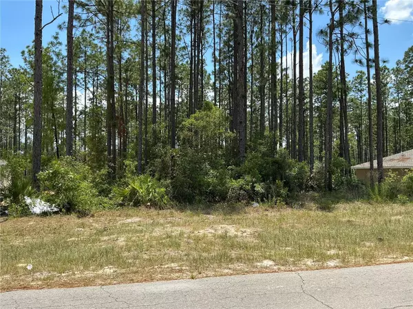 Ocala, FL 34473,SW 81ST CIR