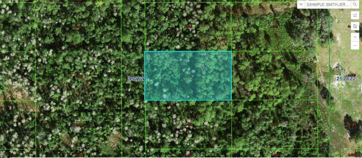 COMMONWEALTH AVE N, Polk City, FL 33868