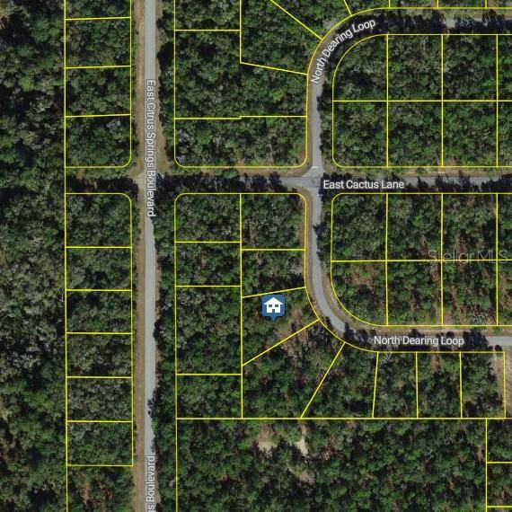 Citrus Springs, FL 34434,9654 N DEARING LOOP