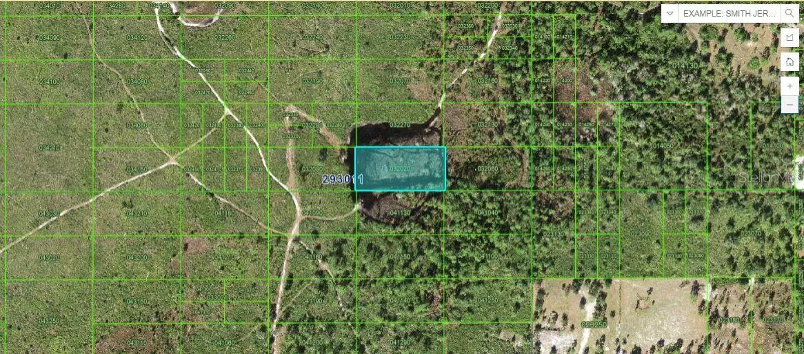 TIGER LAKE RD, Lake Wales, FL 33898