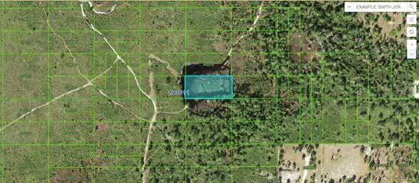 TIGER LAKE RD, Lake Wales, FL 33898