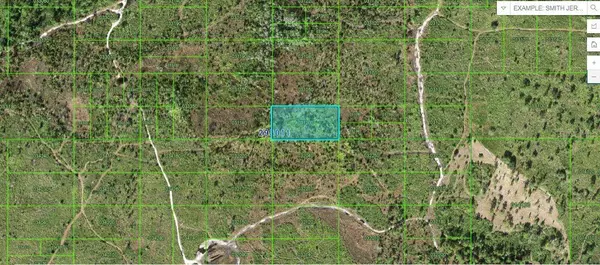 TIGER LAKE RD, Lake Wales, FL 33898