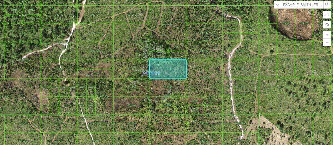 TIGER LAKE RD, Lake Wales, FL 33898