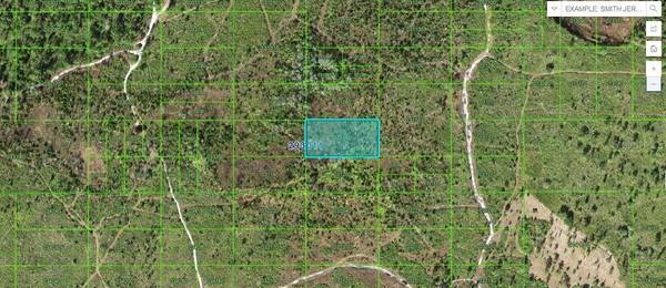 TIGER LAKE RD, Lake Wales, FL 33898