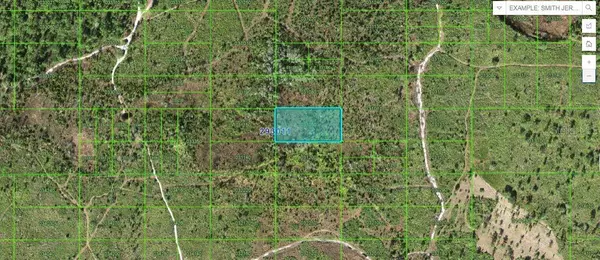 TIGER LAKE RD, Lake Wales, FL 33898