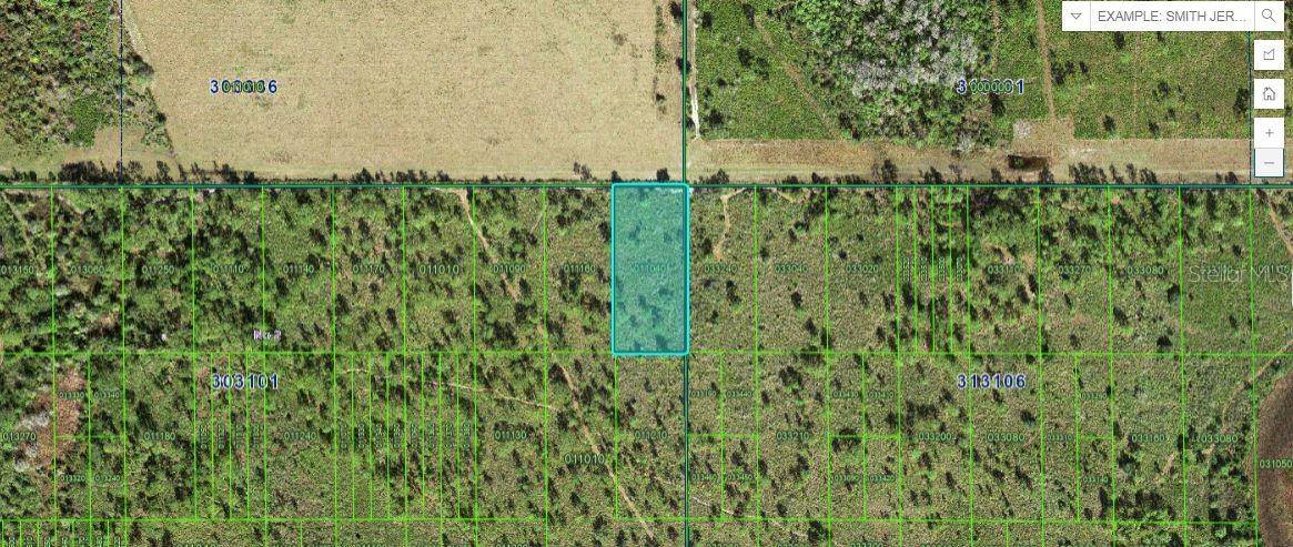 SHADY OAKS DR, Lake Wales, FL 33898
