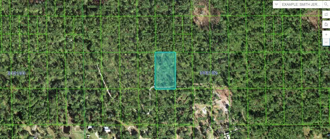 HESPERIDES ROAD, Lake Wales, FL 33898