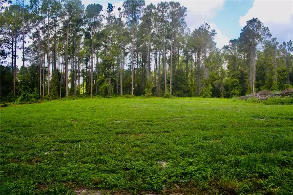 Eustis, FL 32736,000 LAKE SENECA RD