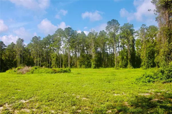 Eustis, FL 32736,000 LAKE SENECA RD