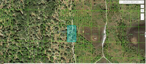 RIVER RANCH RD, Lake Wales, FL 33898