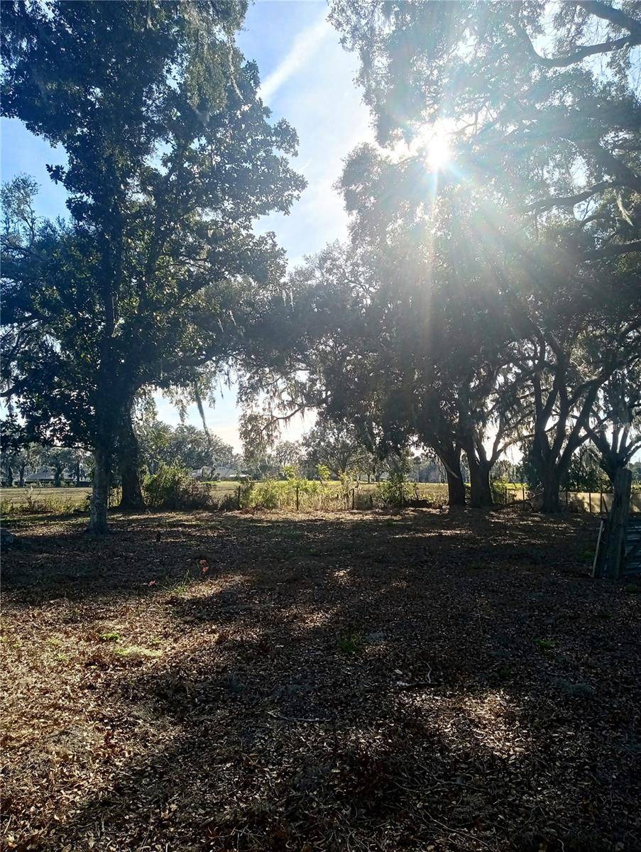3355 E CR-207 E, Oxford, FL 34484
