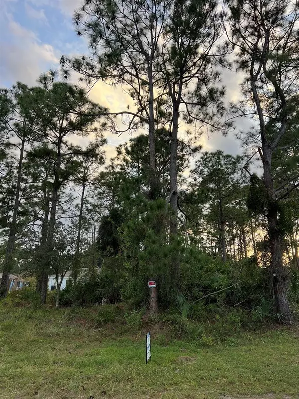 1292 DATON RD SW,  Palm Bay,  FL 32908