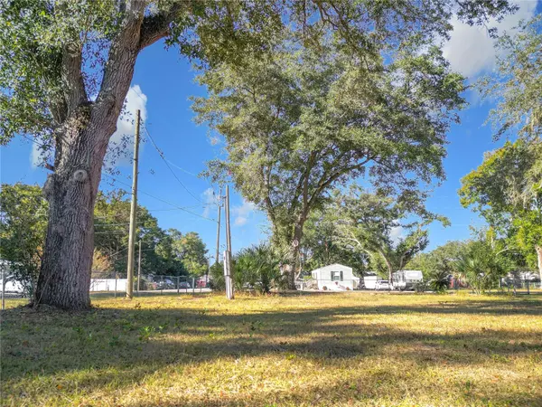 Summerfield, FL 34491,14165 SE 94TH CT