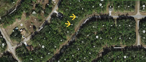 Dunnellon, FL 34434,53 W LYNX DR