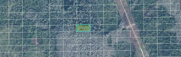 Orlando, FL 32820,DILL RD