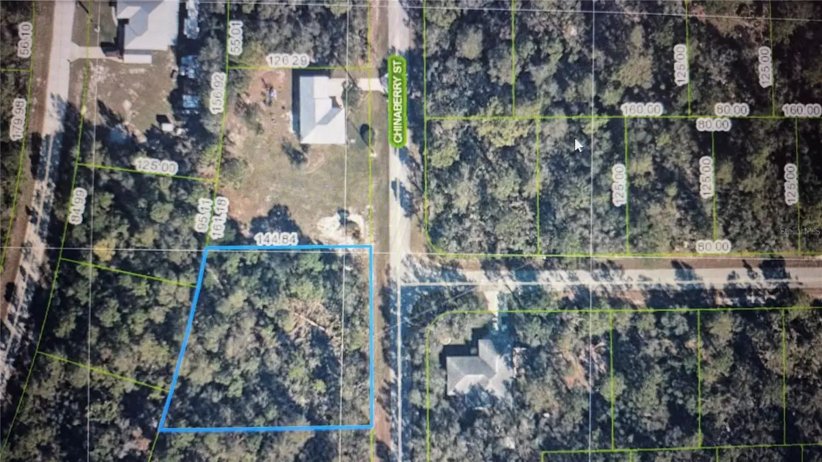 Lake Placid, FL 33852,948 CHINABERRY ST