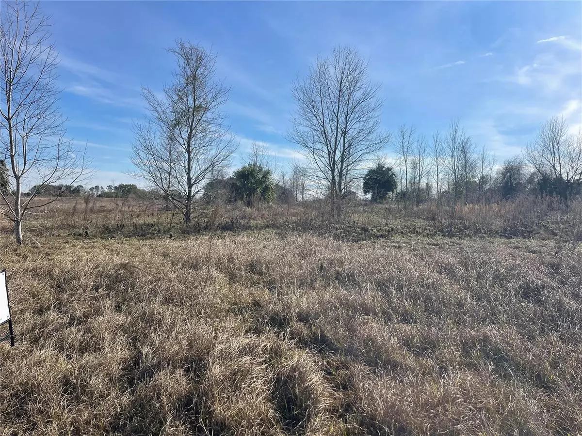 Groveland, FL 34736,Lot 18 HAMMOCK GROVE RD