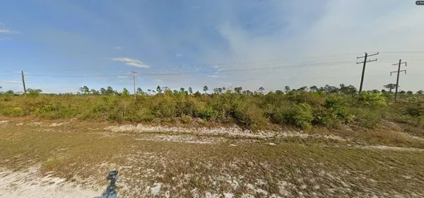 Indian Lake Estates, FL 33855,ST PETERSBURG DR