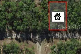 Dunnellon, FL 34434,60 E FALCON ST