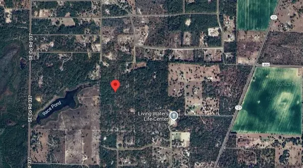 Morriston, FL 32668,UNDEVELOPED