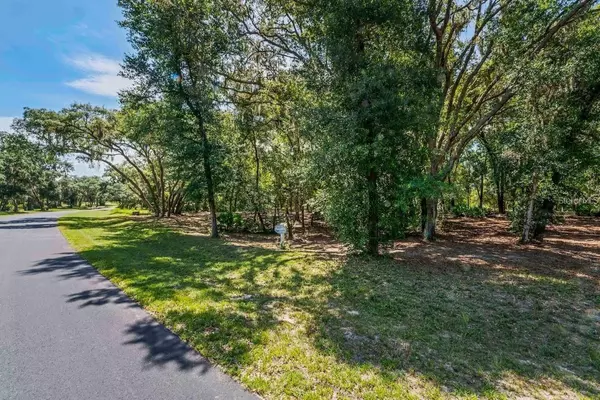 Groveland, FL 34736,3150 BRIGHT LAKE CIR #71