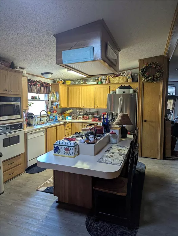 Davenport, FL 33897,357 WADE PARK CT