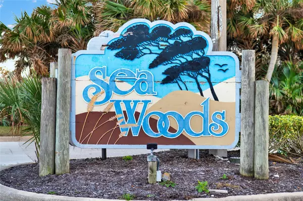 New Smyrna Beach, FL 32169,4411 SEA MIST CT #174