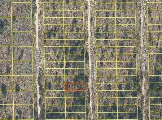 Hawthorne, FL 32640,Address not disclosed