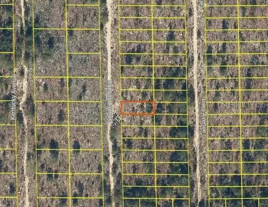 116 KANSAS AVE, Hawthorne, FL 32640