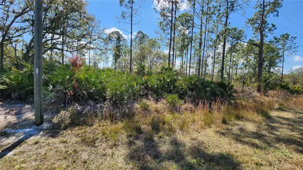 Deland, FL 32720,Lot 7 CHIPPEWA AVE