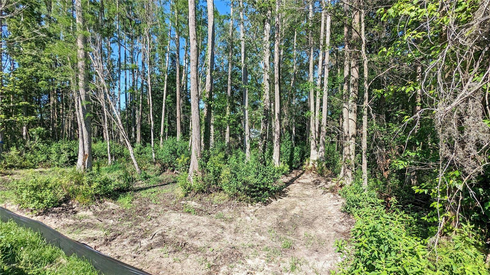 Clermont, FL 34714,Vacant Land SR-33