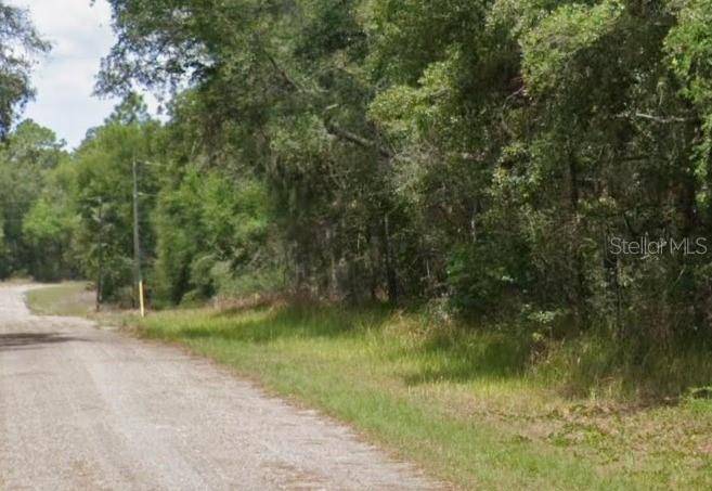 Dunnellon, FL 34434,297 W WHITMARSH CT