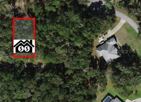 297 W WHITMARSH CT, Dunnellon, FL 34434