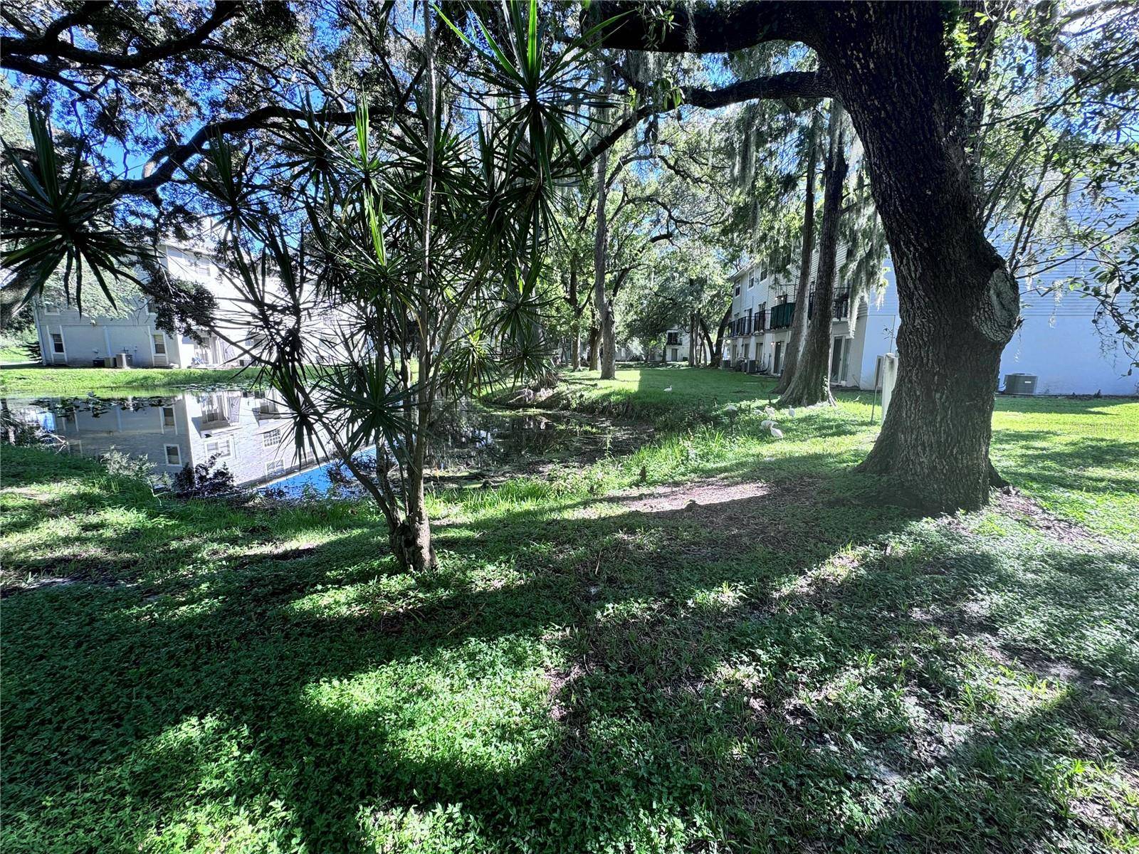 Tampa, FL 33617,7177 E BANK DR #102