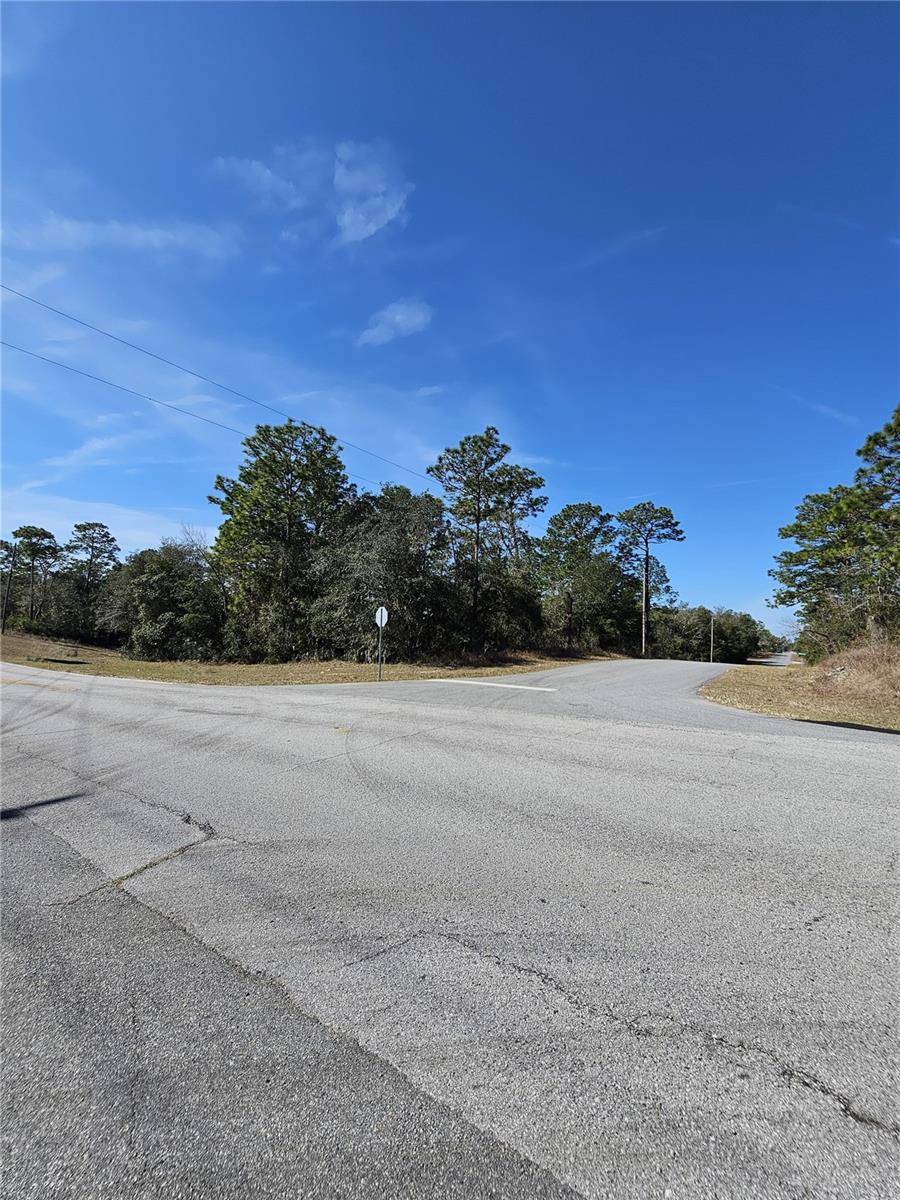 Citrus Springs, FL 34434,2914 W NAEGELIA PL