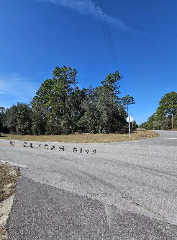 Citrus Springs, FL 34434,2914 W NAEGELIA PL