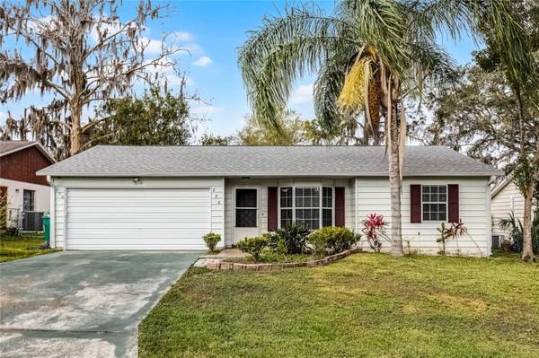 250 DOUGLAS DR, Eustis, FL 32726