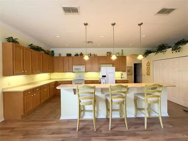 Leesburg, FL 34748,25221 QUAIL CROFT PL