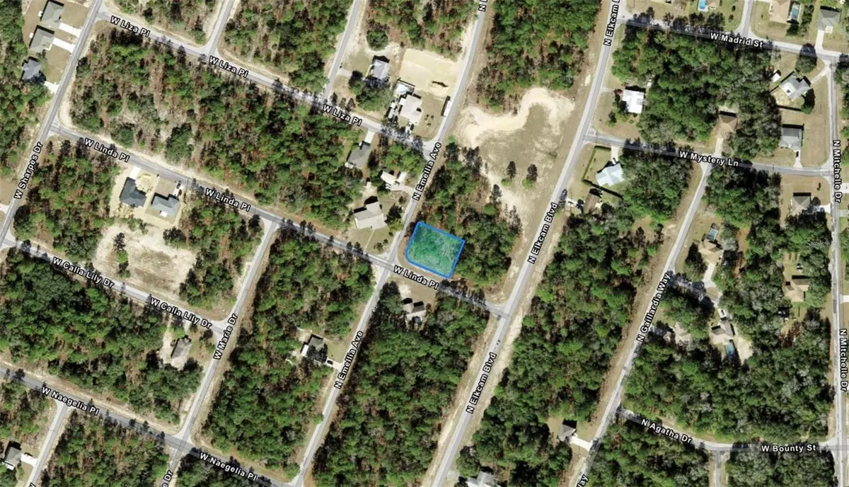 Citrus Springs, FL 34434,9735 N EMELLIA AVE