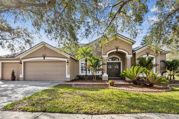 4319 GENTRICE DR, Valrico, FL 33596