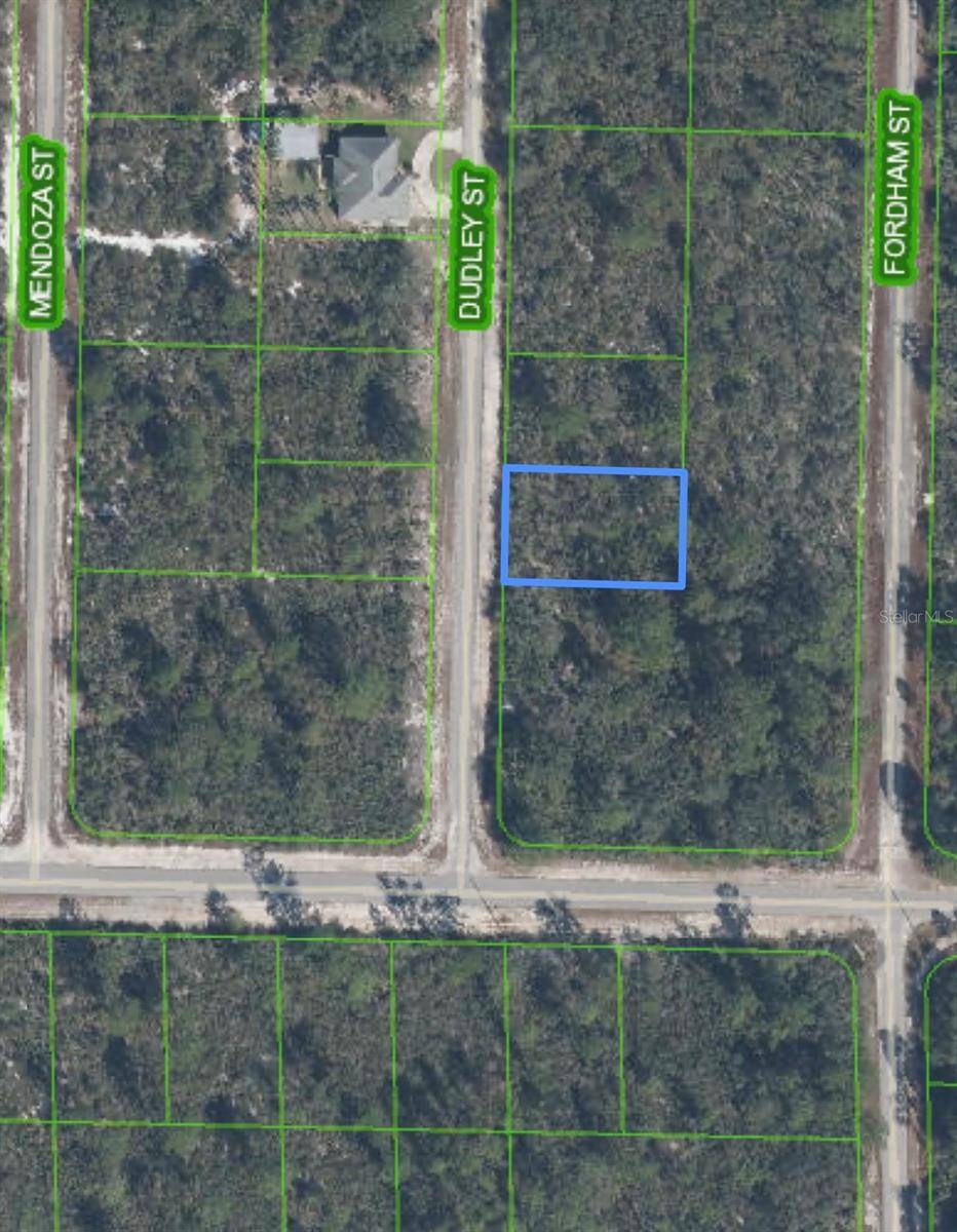 1105 RAMIRO ST, Lake Placid, FL 33852