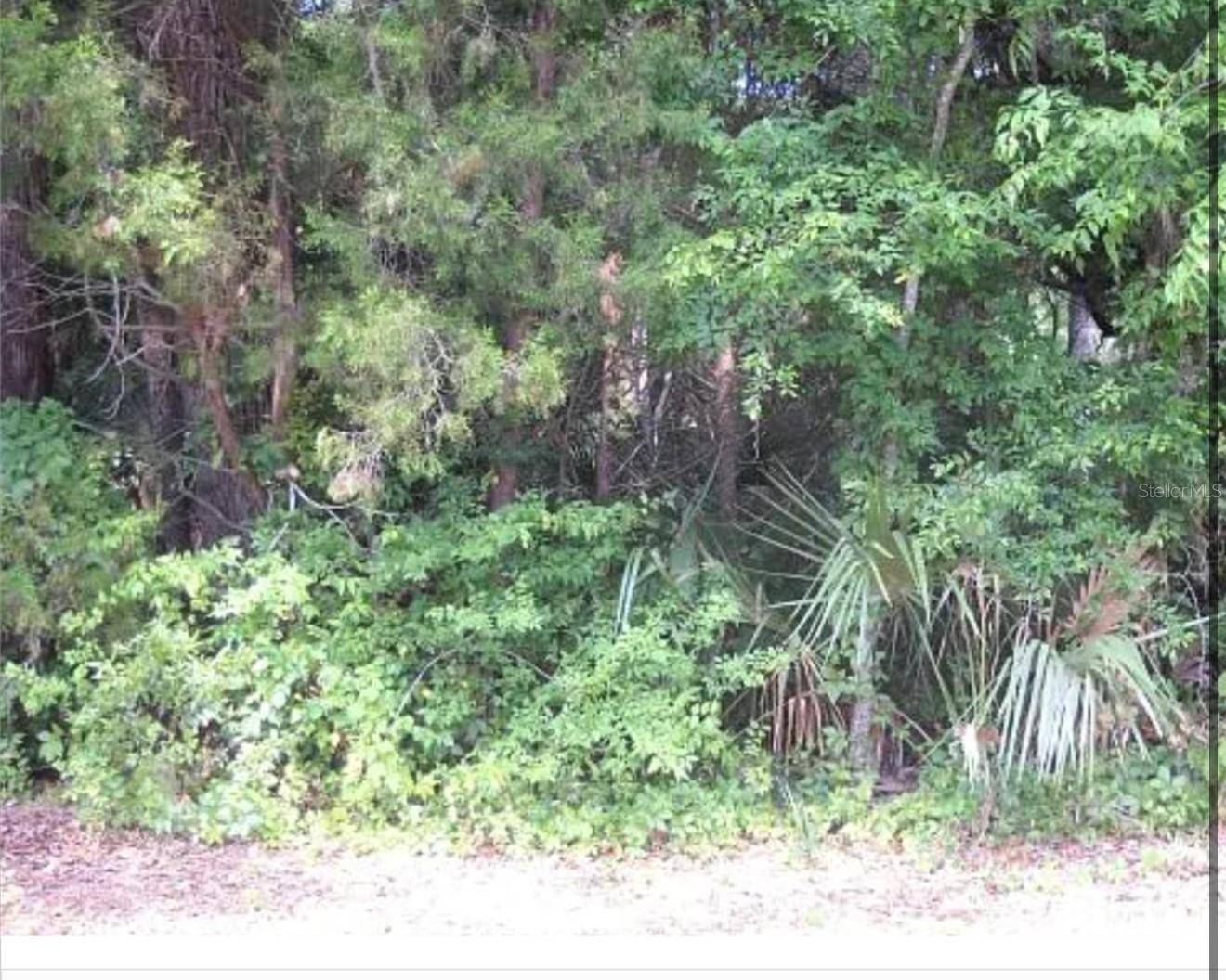 8438 W ELKHORN DR, Homosassa, FL 34448