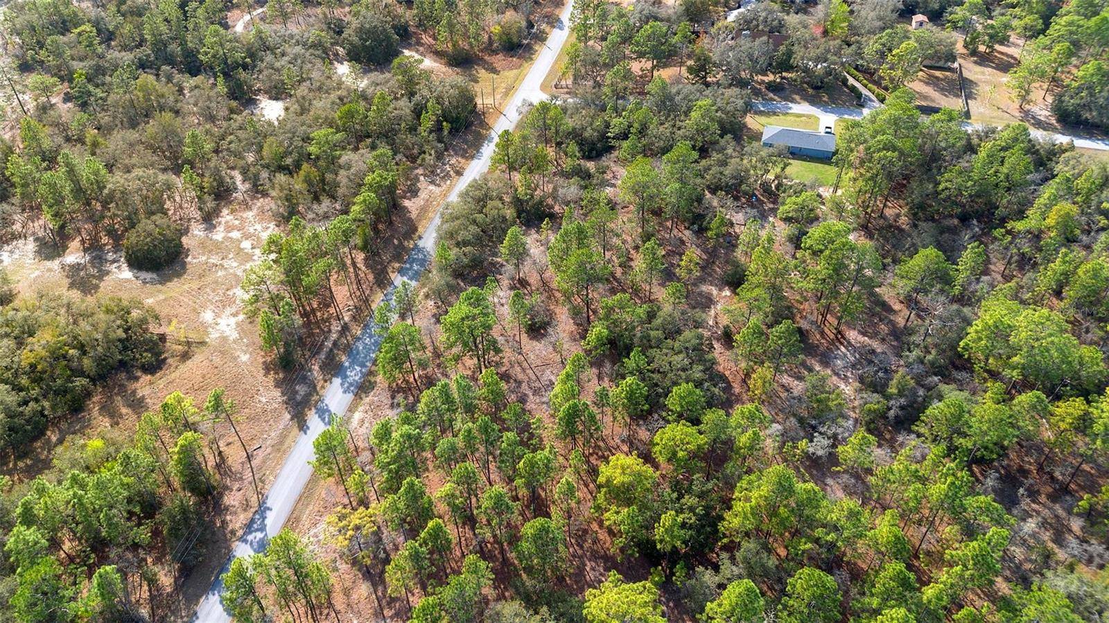 Dunnellon, FL 34431,UNDETERMINED